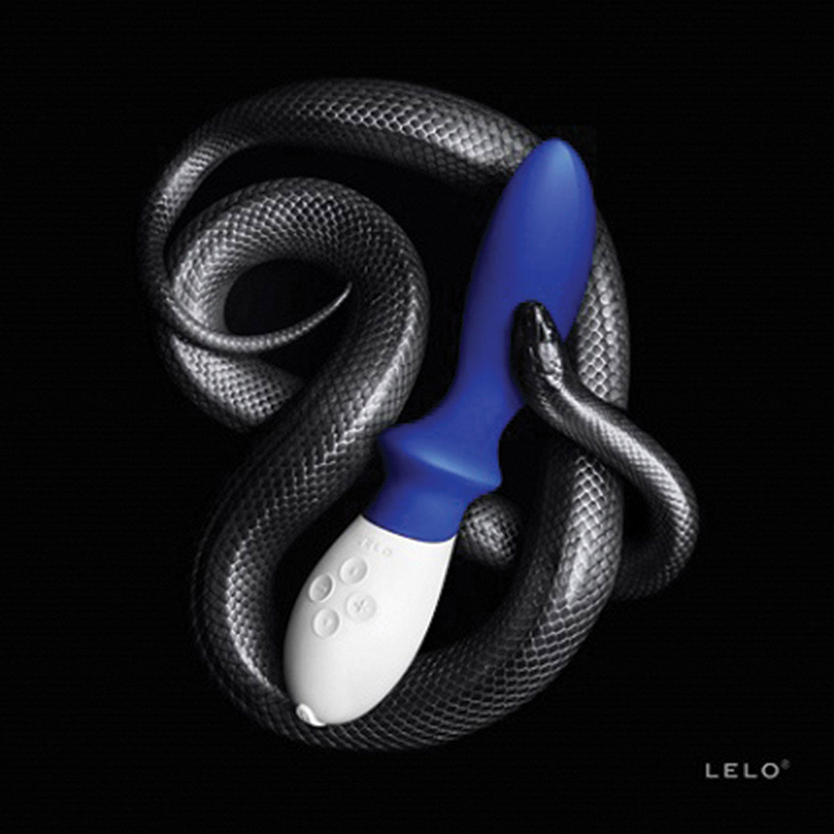Loki - Image 4